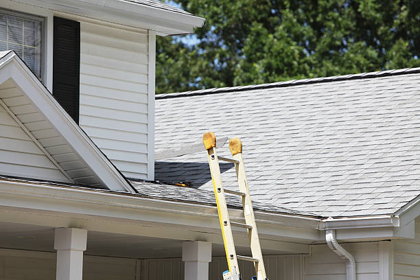 Best Custom Trim and Detailing for Siding  in North Browning, MT